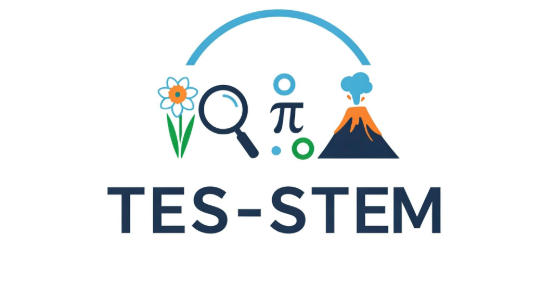 TES-STEM
