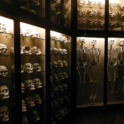 Museos